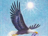 Five Nations Carrier